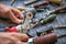 Man using leather punch while working with belt at factory, closeup