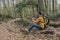 Man using smart phone sitting with backpack on a tree in forest.Travel concept, walk, excursionist, hiker outdoor lifestyle.Copy