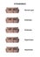 A man with various strabismus types, 3D illustration