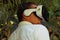 Man in VR 360, virtual reality 3D headset and exploring the play on a background of tropical jungle