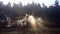 Man walk alone on a foggy forest with autumn season.