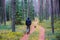 Man walk down the path of pine trees