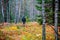 man walk in fall woods