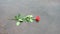 A man walking along a road throws a rose into a puddle due to resentment