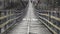 Man is walking along on a rope suspension bridge