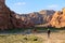 Man walking with camels in the desert nearby Petra in Jordan