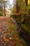 Man walking in colourful walking path in Autumn park