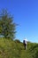 Man walking in countryside footpath with trees