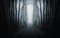 Man walking on a dark path in a strange dark forest with fog