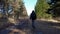 Man walking dirt path in pine trees, back view