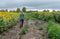 Man walking on a dirty road between agricultural fields