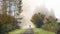 Man walking dog on Snoqualmie Valley Trail on a misty and frosty morning