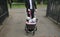 Man walking dogs in a stroller in Hyde Park , London , England