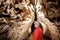 Man walking and exploring dark cave with light headlamp