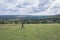 Man walking in the field, Amazing view of Goring and Streatley, village town near Reading, England