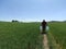 A man walking in the fields, water cans in their hands