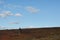 Man walking at flat mountain in Finnmark,  bird hunting for grouse bird