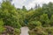 Man walking by the footpath surrounded by green dense plants