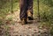 Man walking into the forest alone