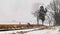 Man Walking His Dogs By a Rail Road Track as a Steam Engine Approaches  in a Snow Storm