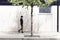 Man walking by house facade under blooming spring tree.