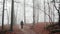 A man walking in a misty forest