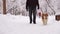 Man is walking in the park with a beautiful, red dog, Shiba Inu breed. Snowfall