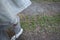 Man walking in the park. top view. Teenage legs in sneakers walking on ground. Man`s feet in shoes on the grass