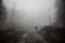 man walking on a path in a strange dark forest with fog