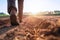 A man walking in a planting field on the morning sunrise. Generative Ai