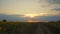 The man is walking on the road through the field with sunflower on the background of the sunset sky