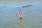 Man walking in shallow water with bucket of collected mussels fr