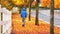 Man walking on sidewalk while autumn leaves falling down