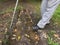 Man with walking stick trying to step over puddle