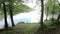 Man walking through tree forest to the lake