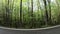 Man walking through tree forest to the lake in natural park