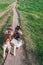 Man walking two husky dogs in park, rear view. Siberian husky with orange backpacks running on the summer forest dirt path.