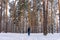 Man walking in winter snow covered forest in cloudy day. Man standing against landscape with pine trees. Human and nature, weekend