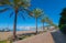 Man walks by an abandoned sailboat on the beach. Rows of palm trees line water`s edge in Ibiza.