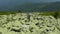 A man walks along a mountain slope covered with giant stones. Solo tourism.