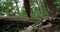 The man walks barefoot with a mountain in the woods