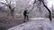 Man walks between branches fallen tree on road. Natural disaster icing snow