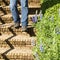 A man walks down the aged concrete stairs at the garden