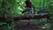 Man walks through the forest steps over a fallen tree and goes on