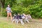 Man walks with four husky dogs in park