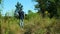 Man walks through the grass through a clearing into the summer forest.