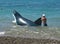 Man walks with a hoax sharks in the water along the beach in Sochi
