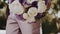 Man walks outdoors and carries in his hand gorgeous bouquet of fresh peonies