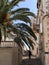 Man walks on the stairs towards the Crkva sv. Petra church