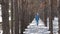 A man walks through the winter pine forest